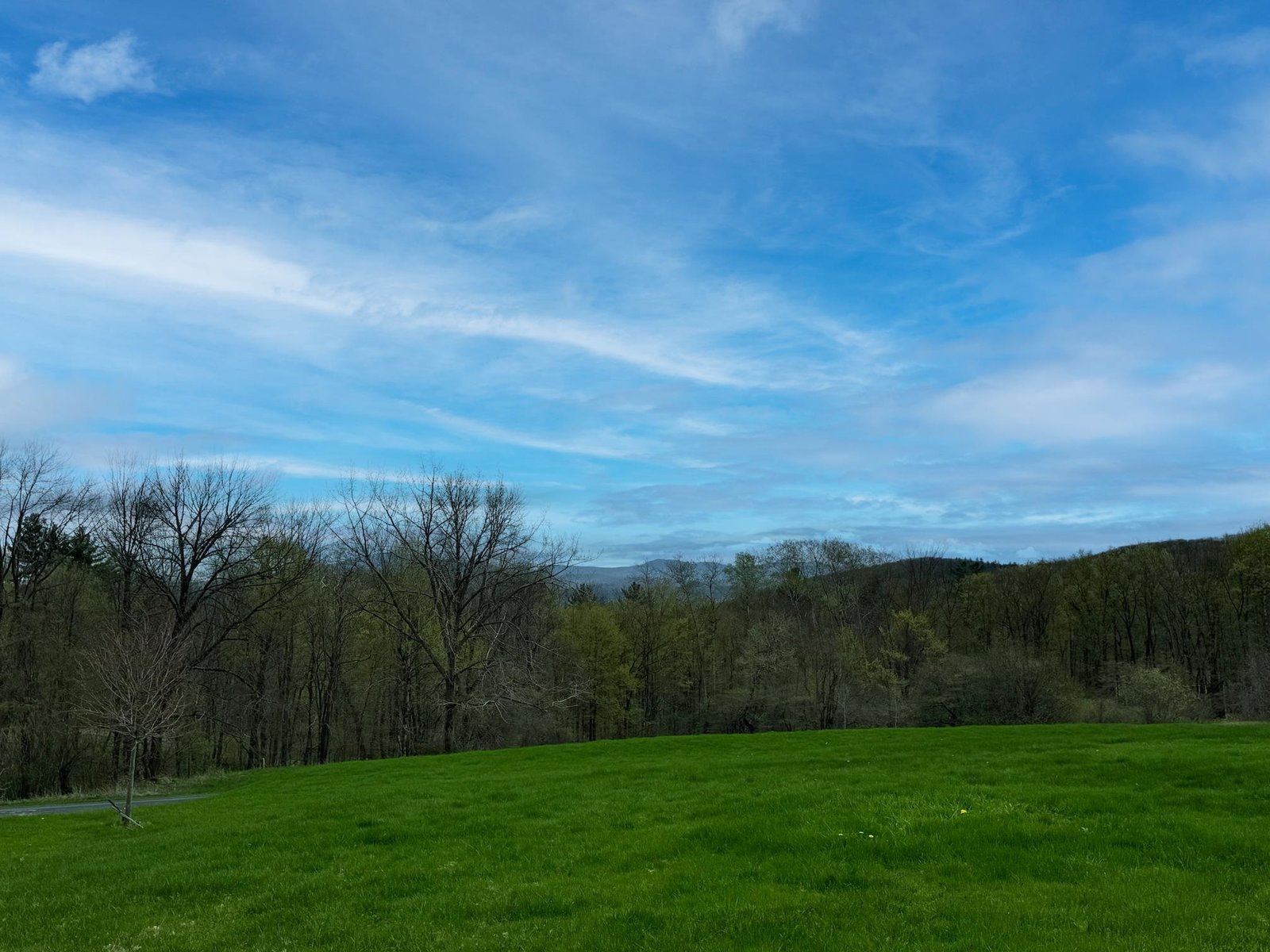 67 Bear Creek Road
