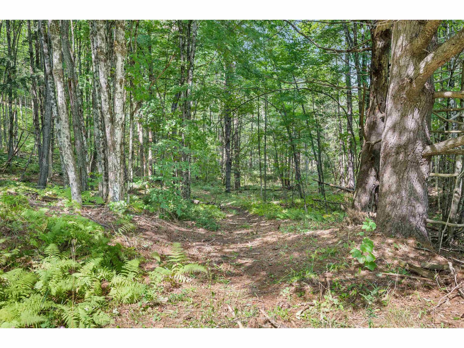 trails throughout land