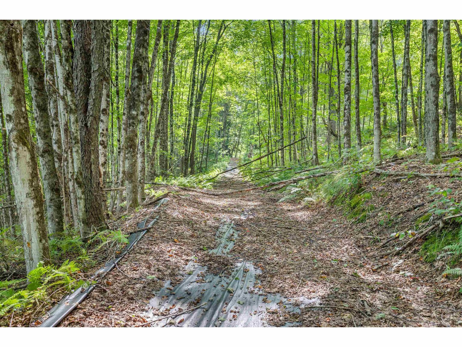 rough road access to upper lot