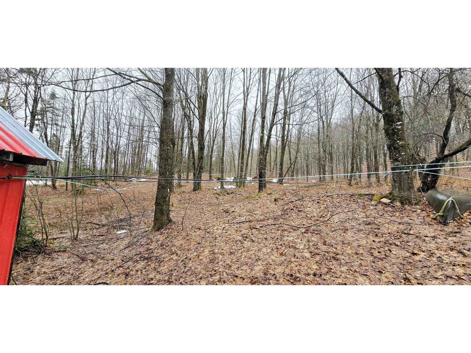 681 Phillips Road
