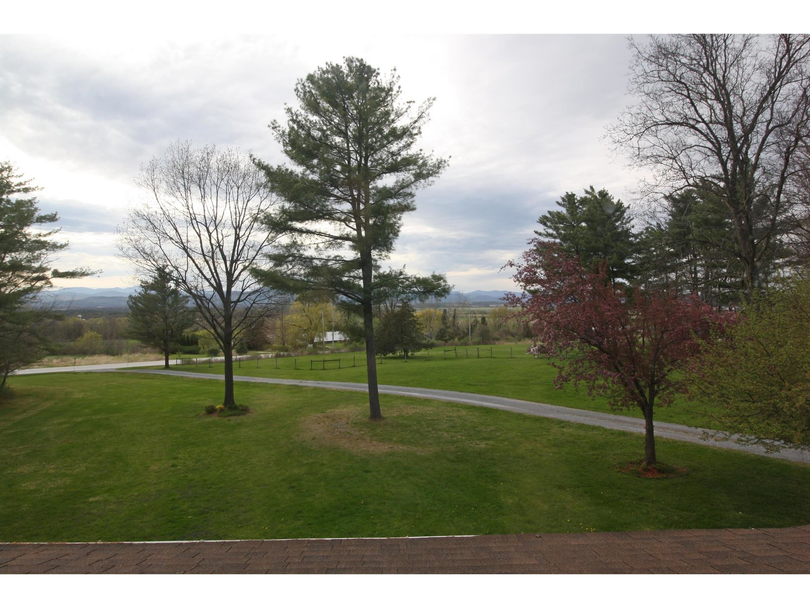View From Primary Window