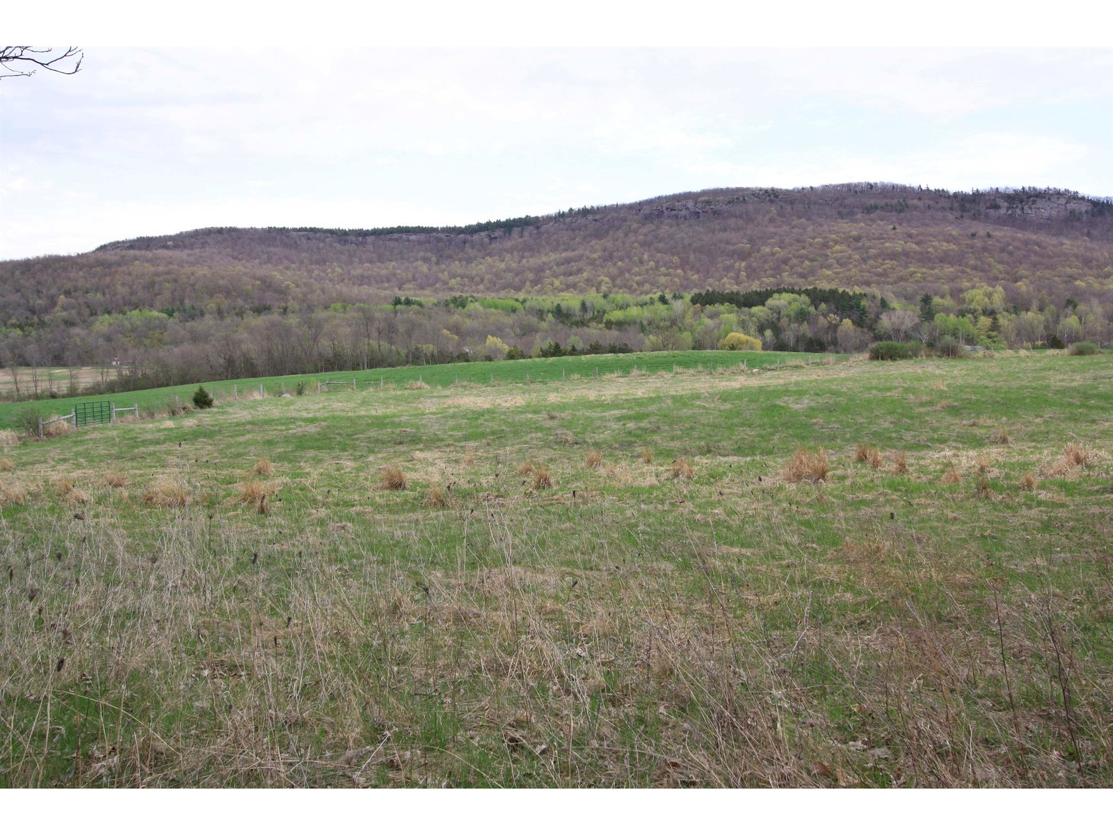 Pasture w/Snake Mountain View