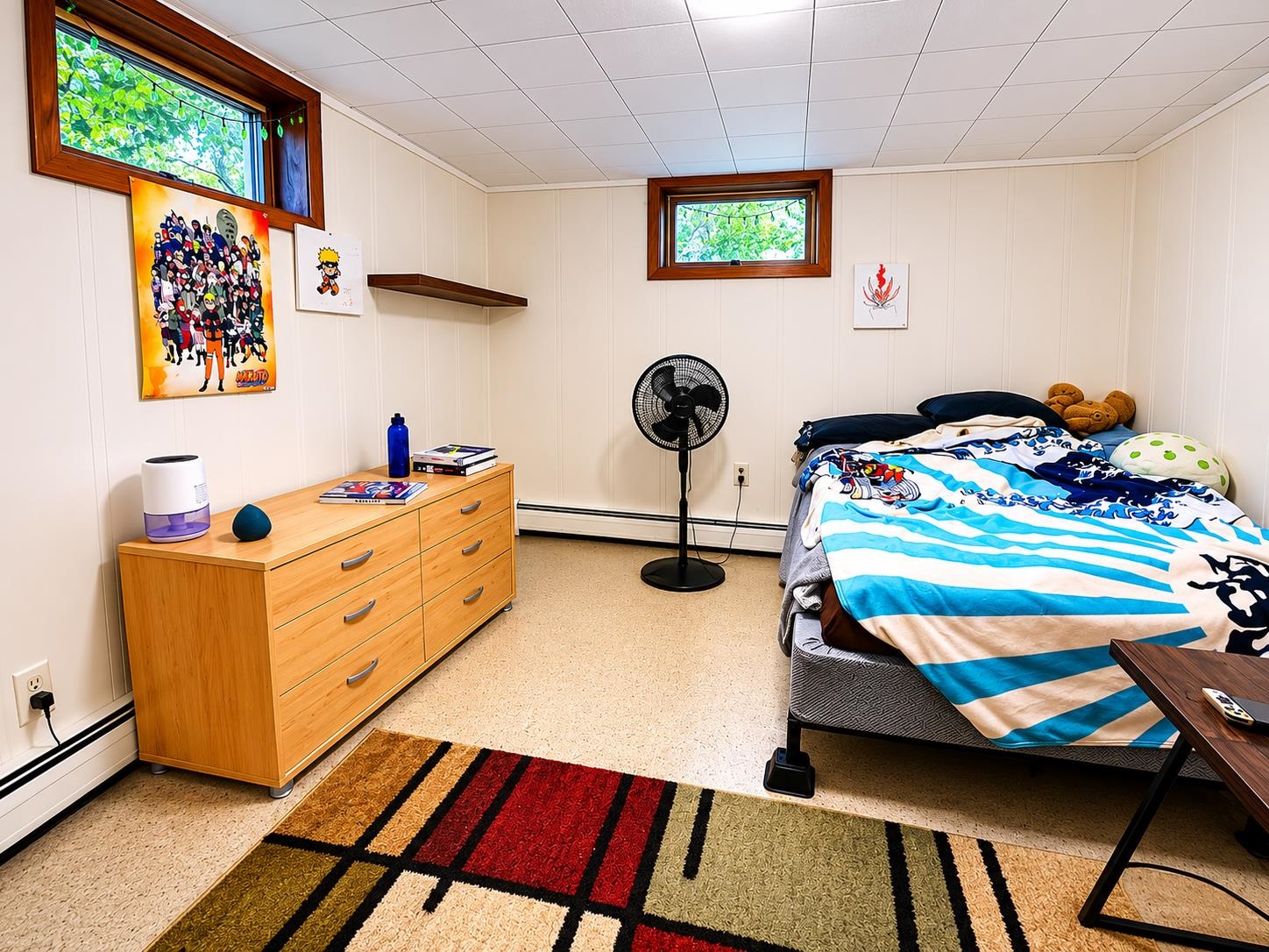 Lower Level Bonus Room