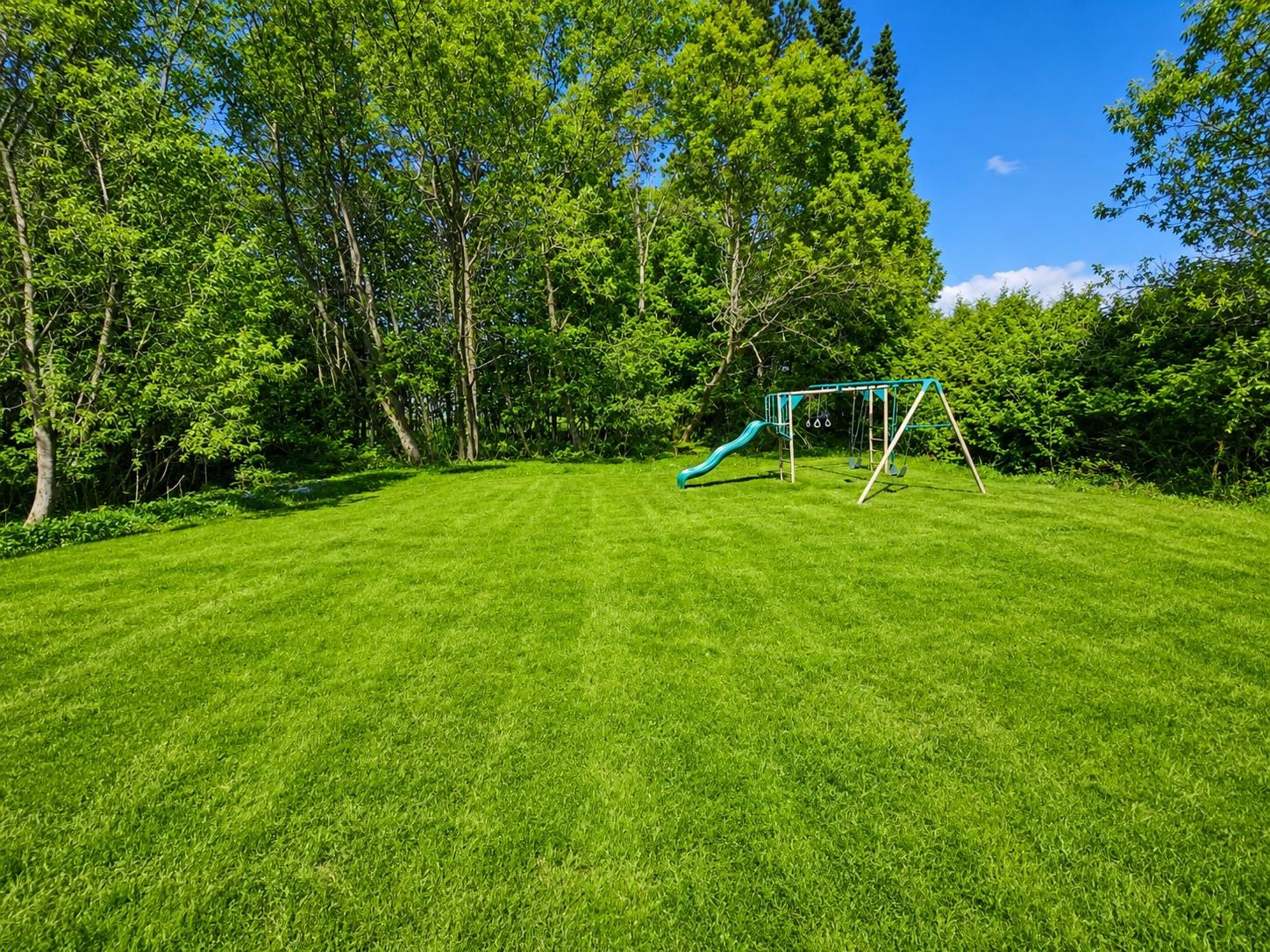 Large Lawn