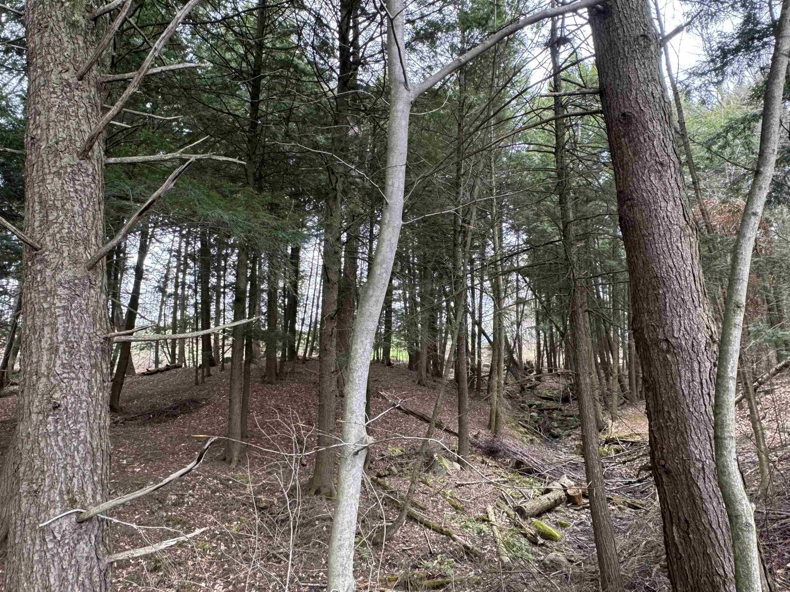 69 Missionary Acres
