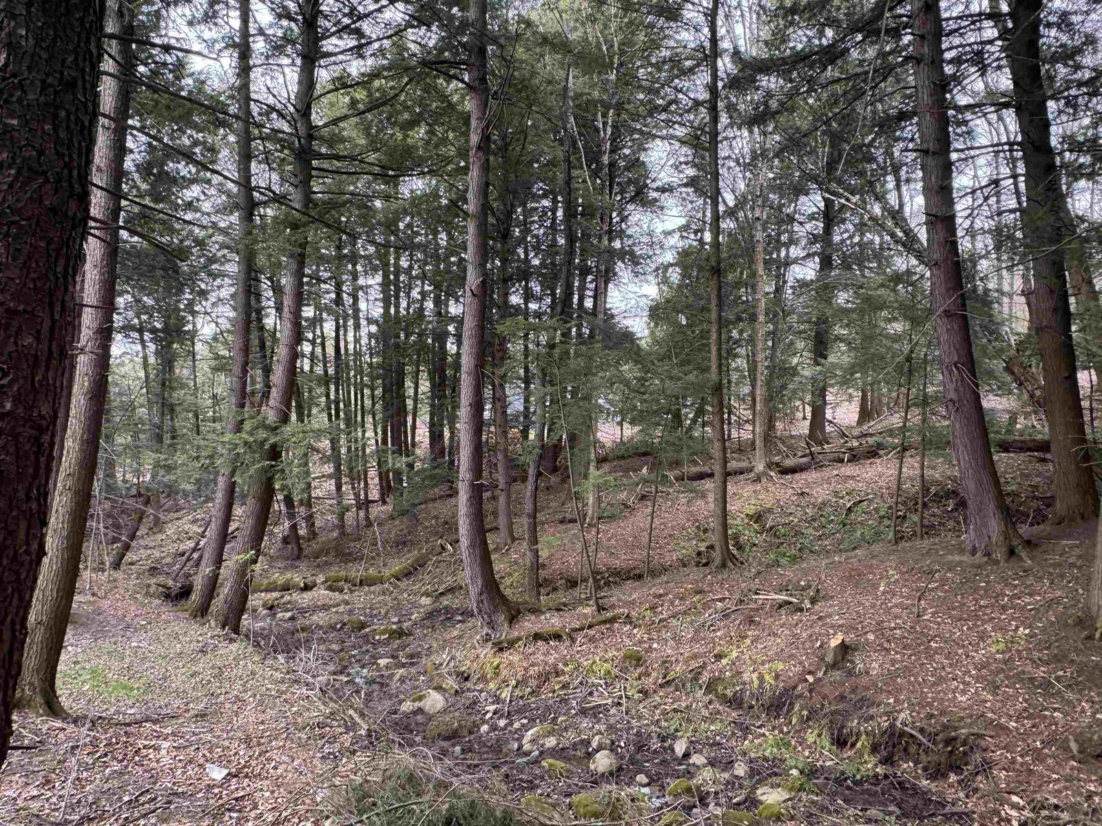 69 Missionary Acres