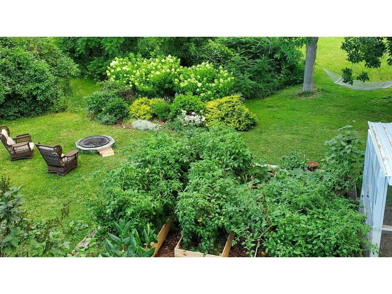 Lush Perennials & Gardens