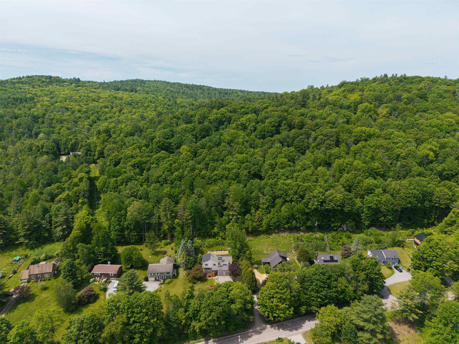 Private Backyard Abutting Forest