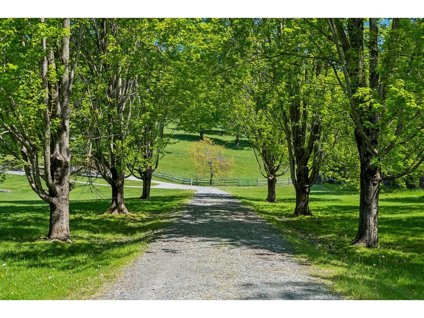 699 Spear Cemetery Road