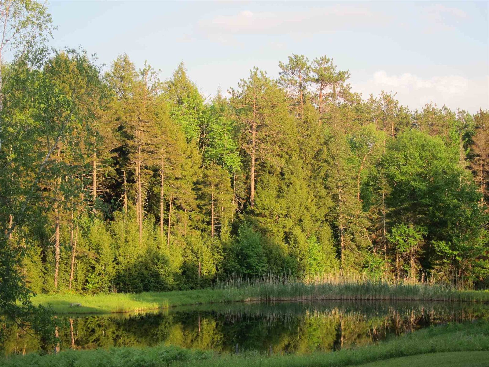#7 Terrill Gorge Lane