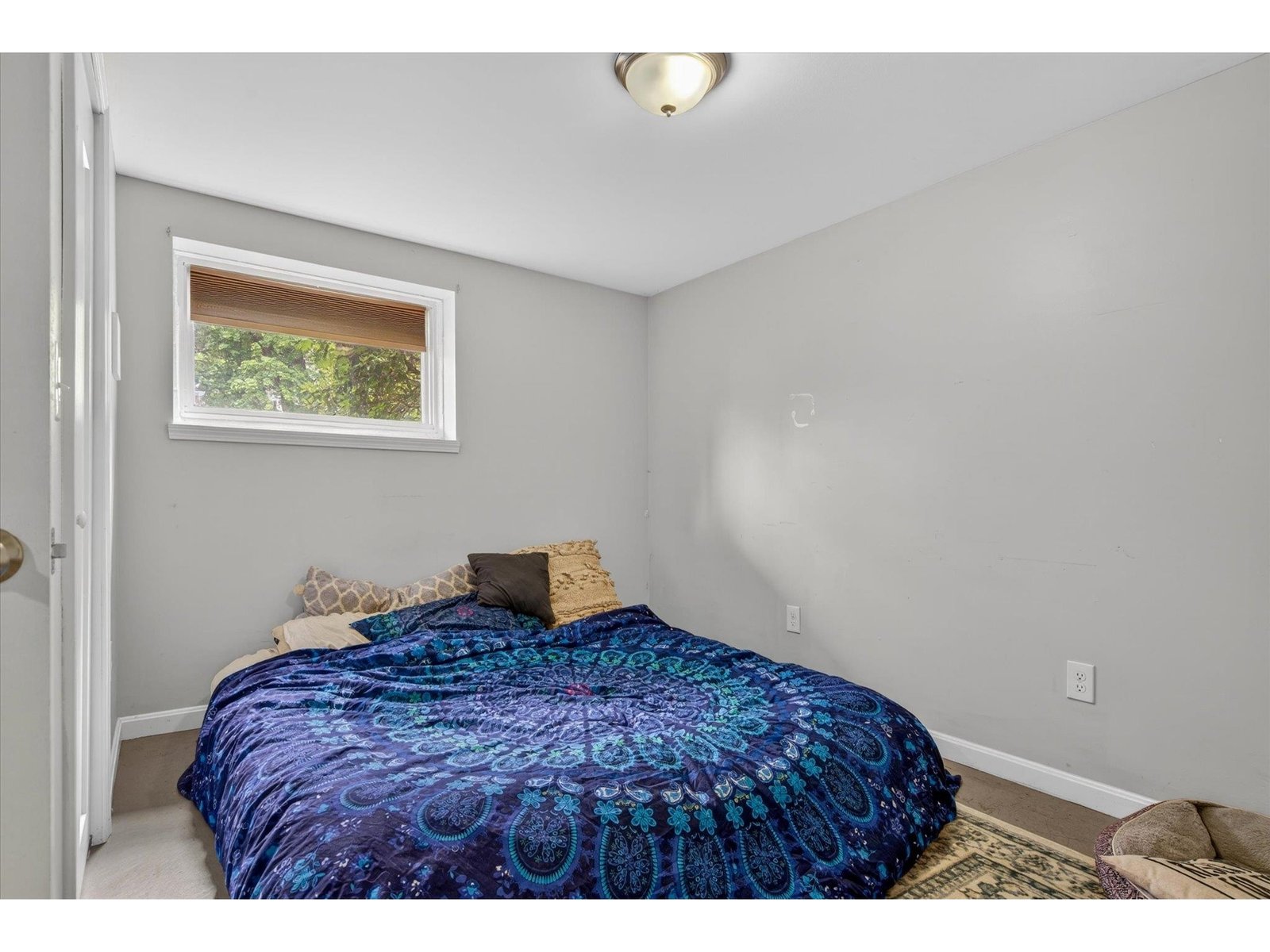 Bedroom 4 (Basement)