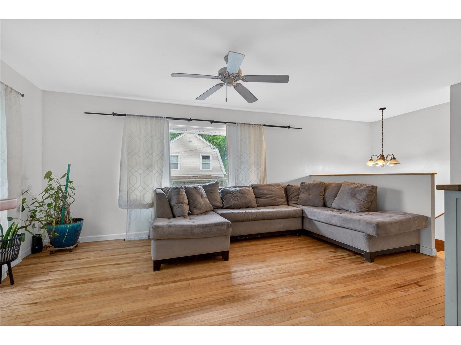 7 Wendell Place