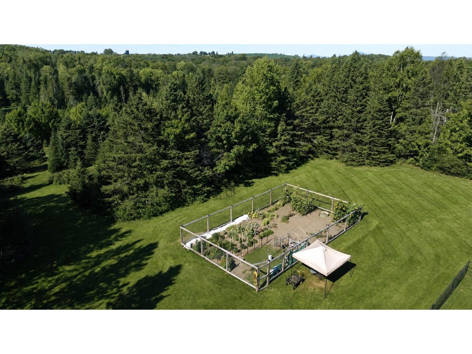 Fenced In Garden