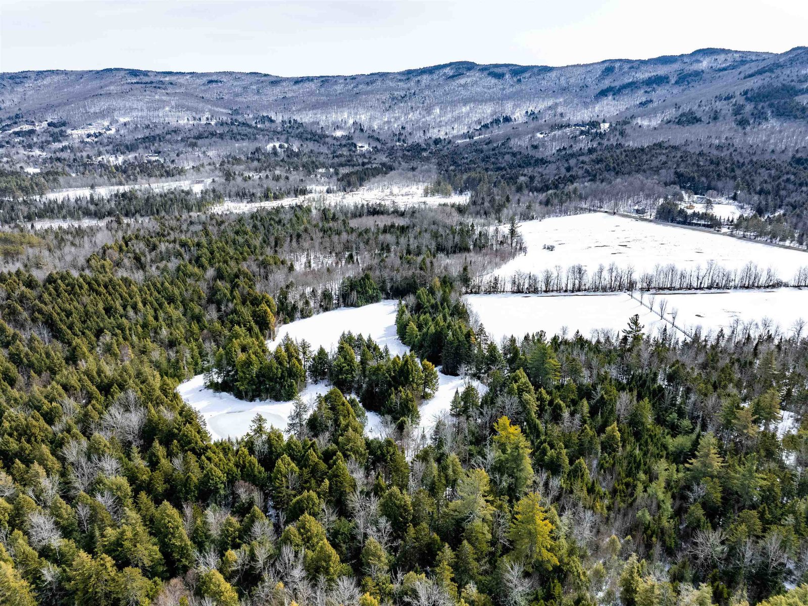 7060 Elmore Mountain Road