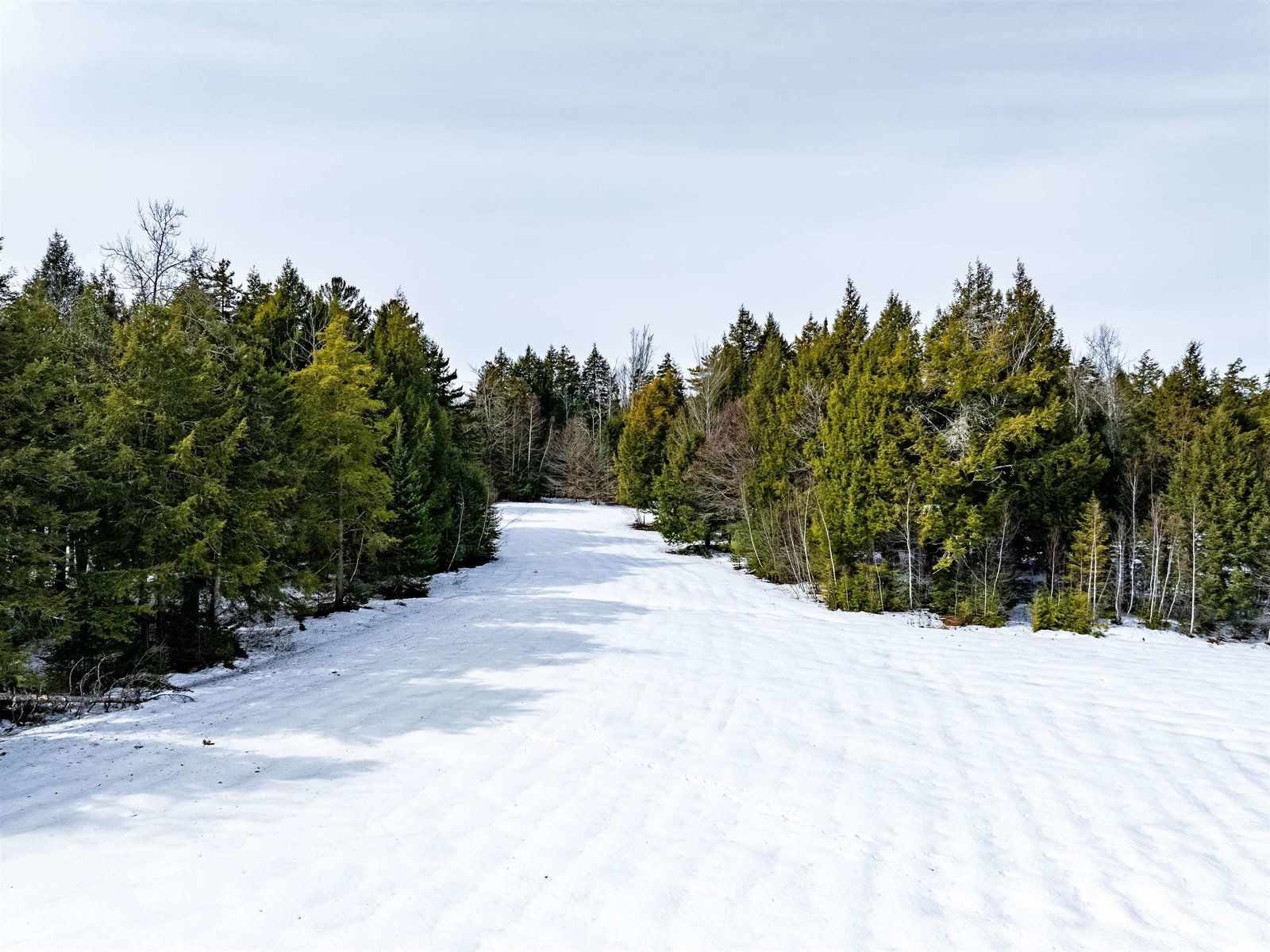 7060 Elmore Mountain Road