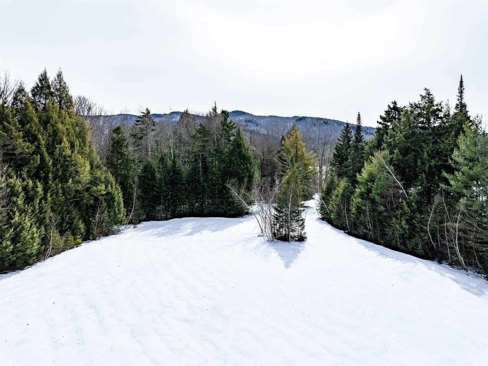 7060 Elmore Mountain Road