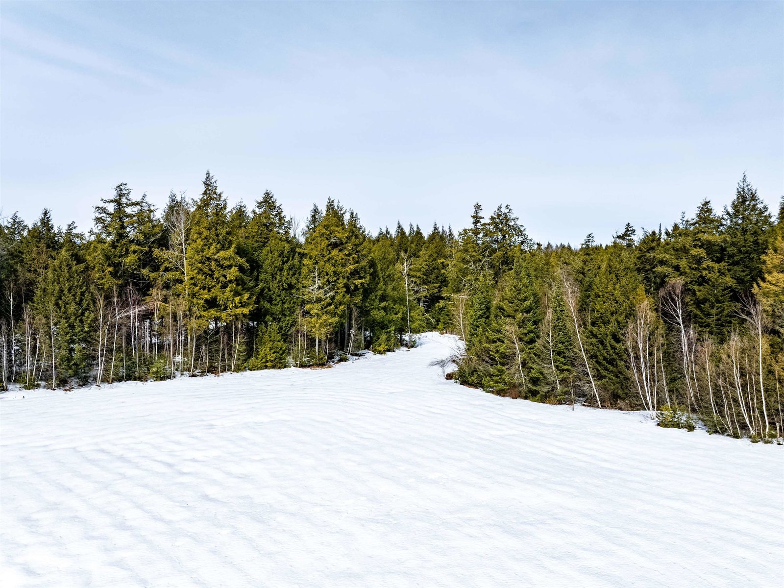7060 Elmore Mountain Road