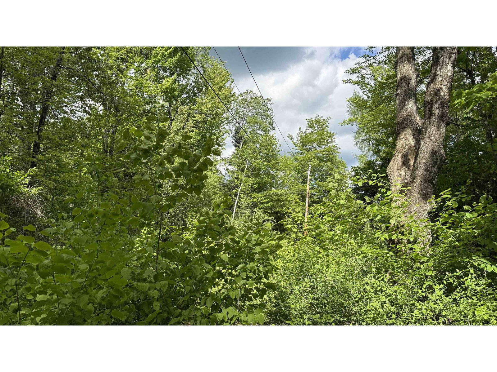 716 Cemetery Road