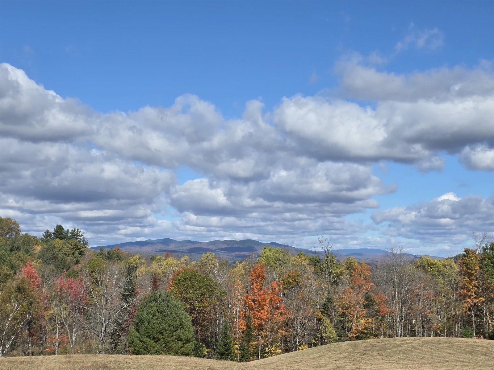 View from Upper field