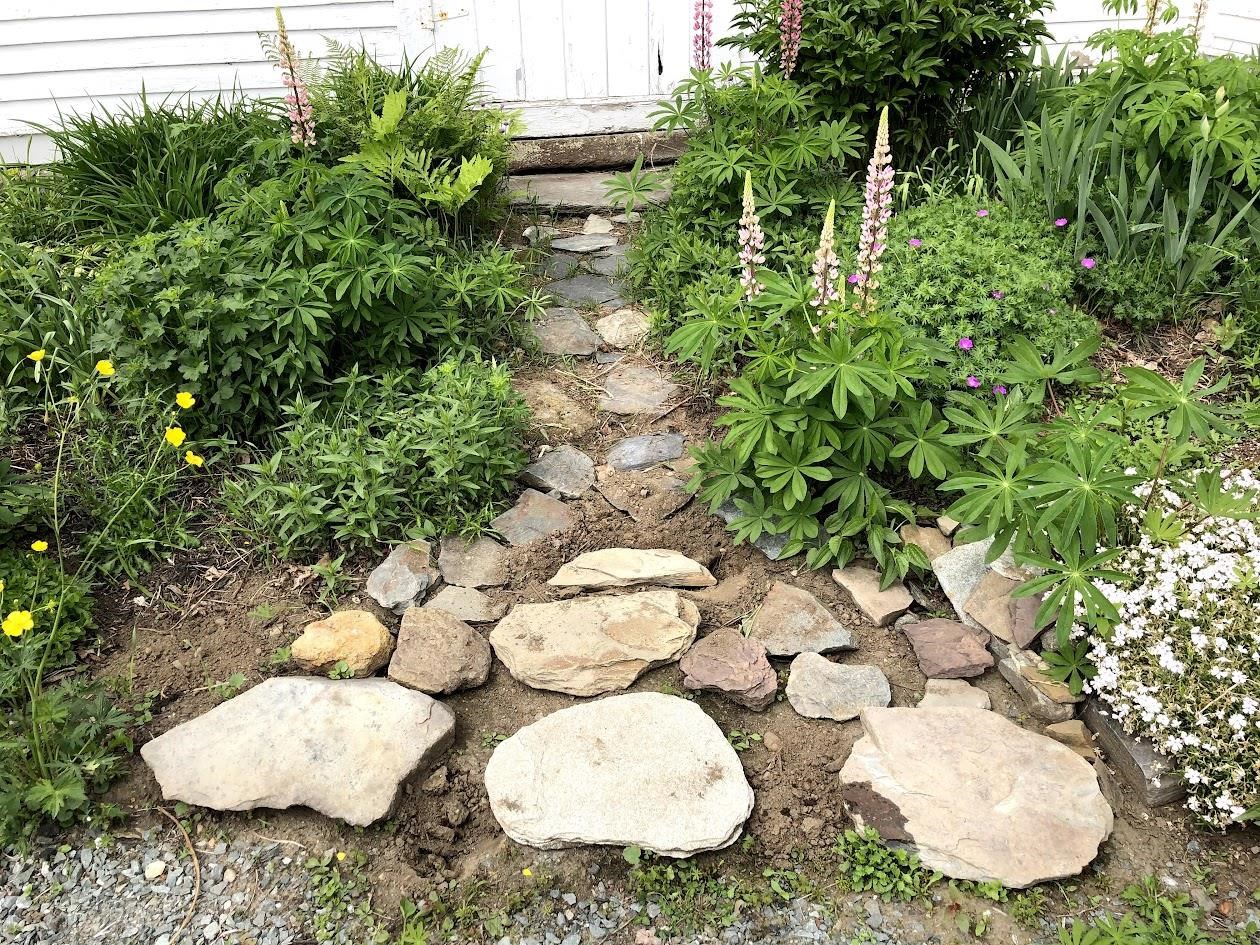 Stone walkway to Attached Shed