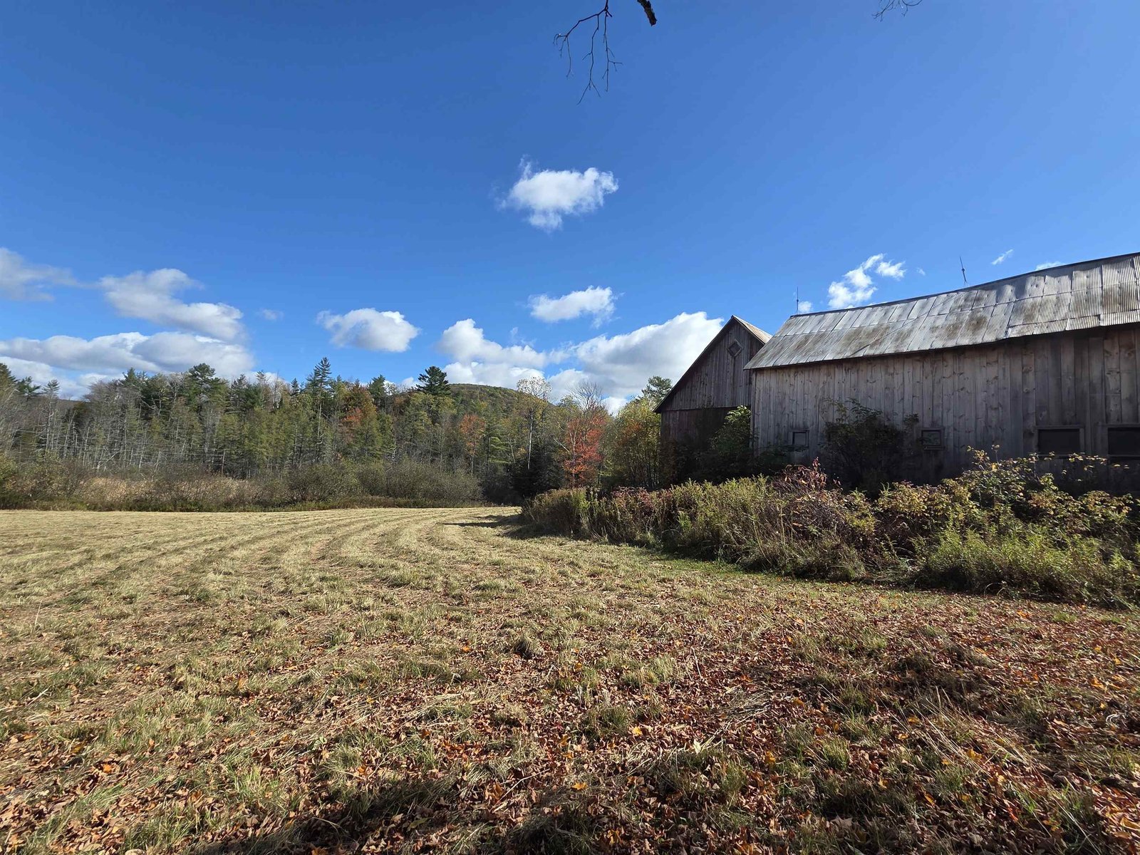 717 Remick Road