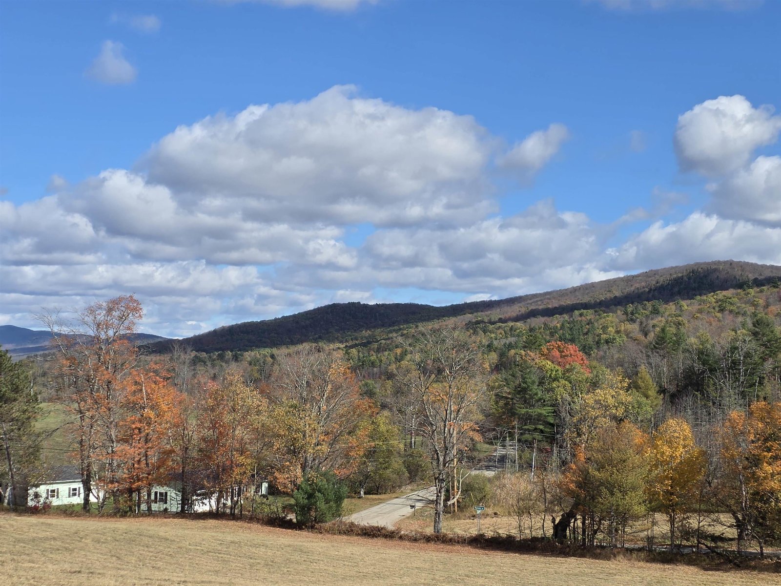 717 Remick Road