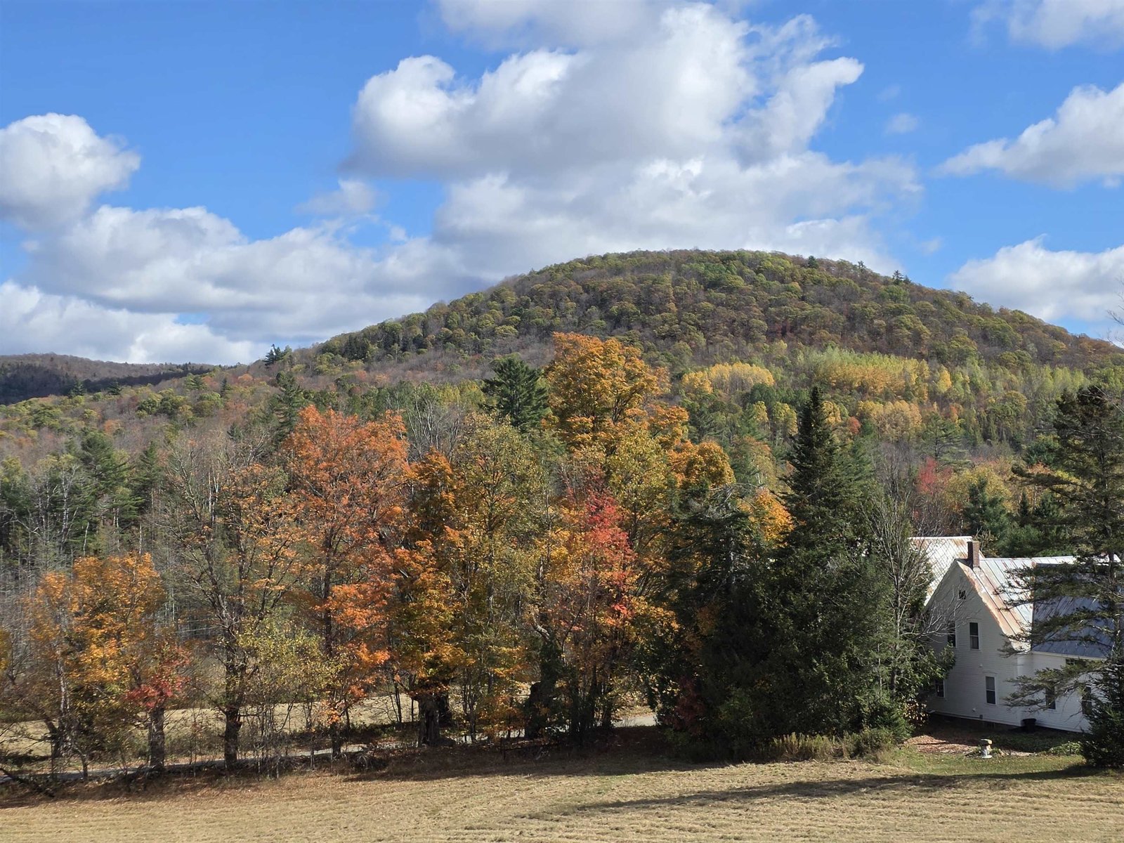 717 Remick Road