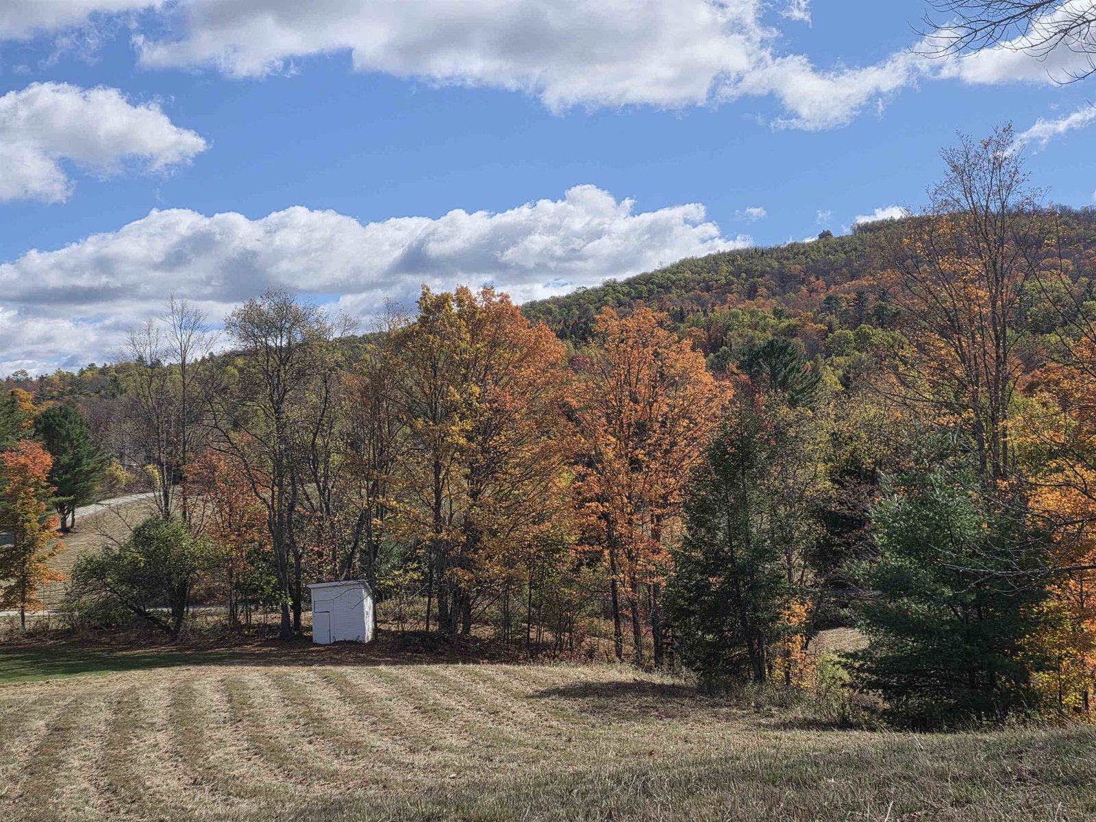 717 Remick Road