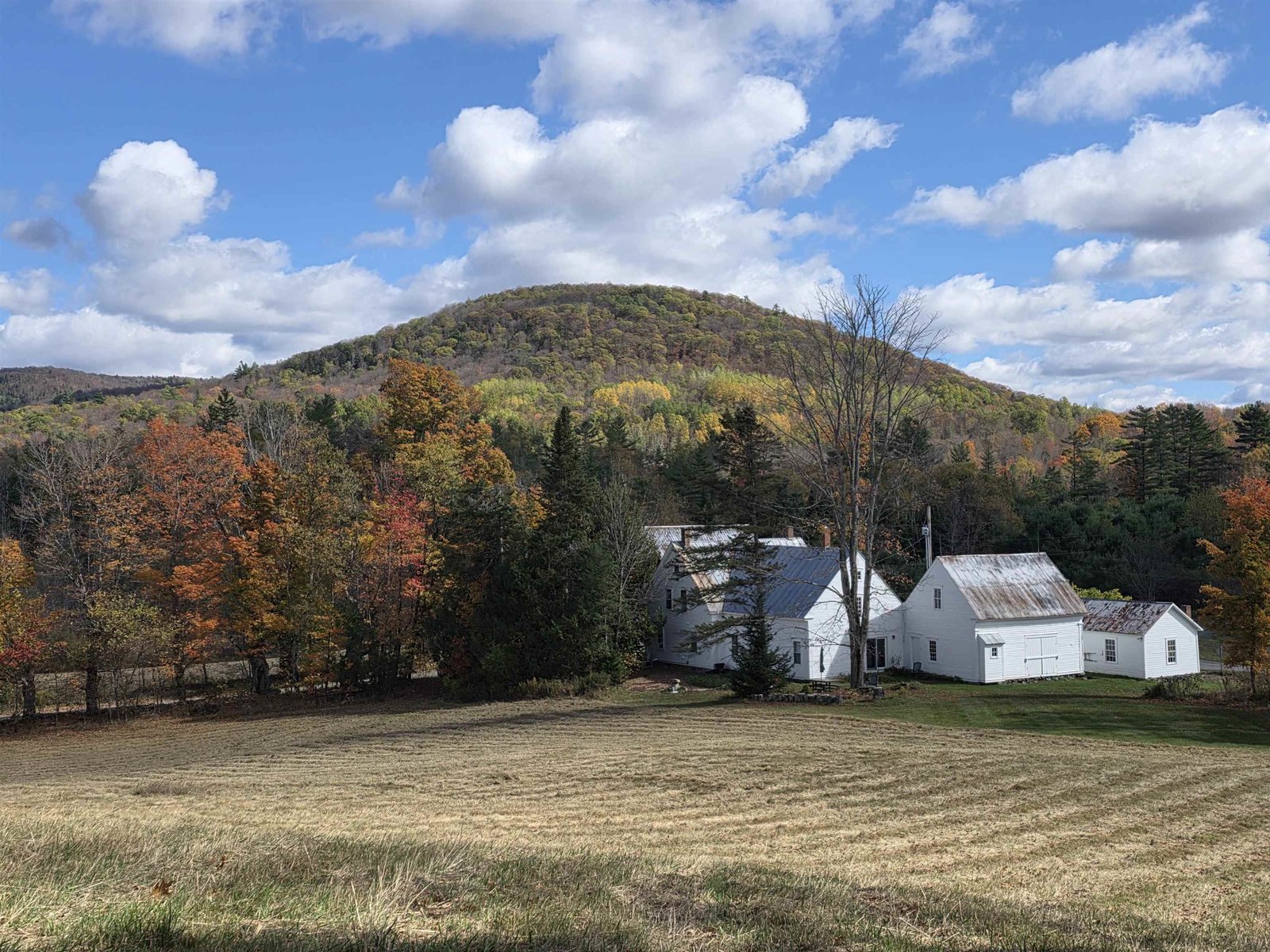 717 Remick Road