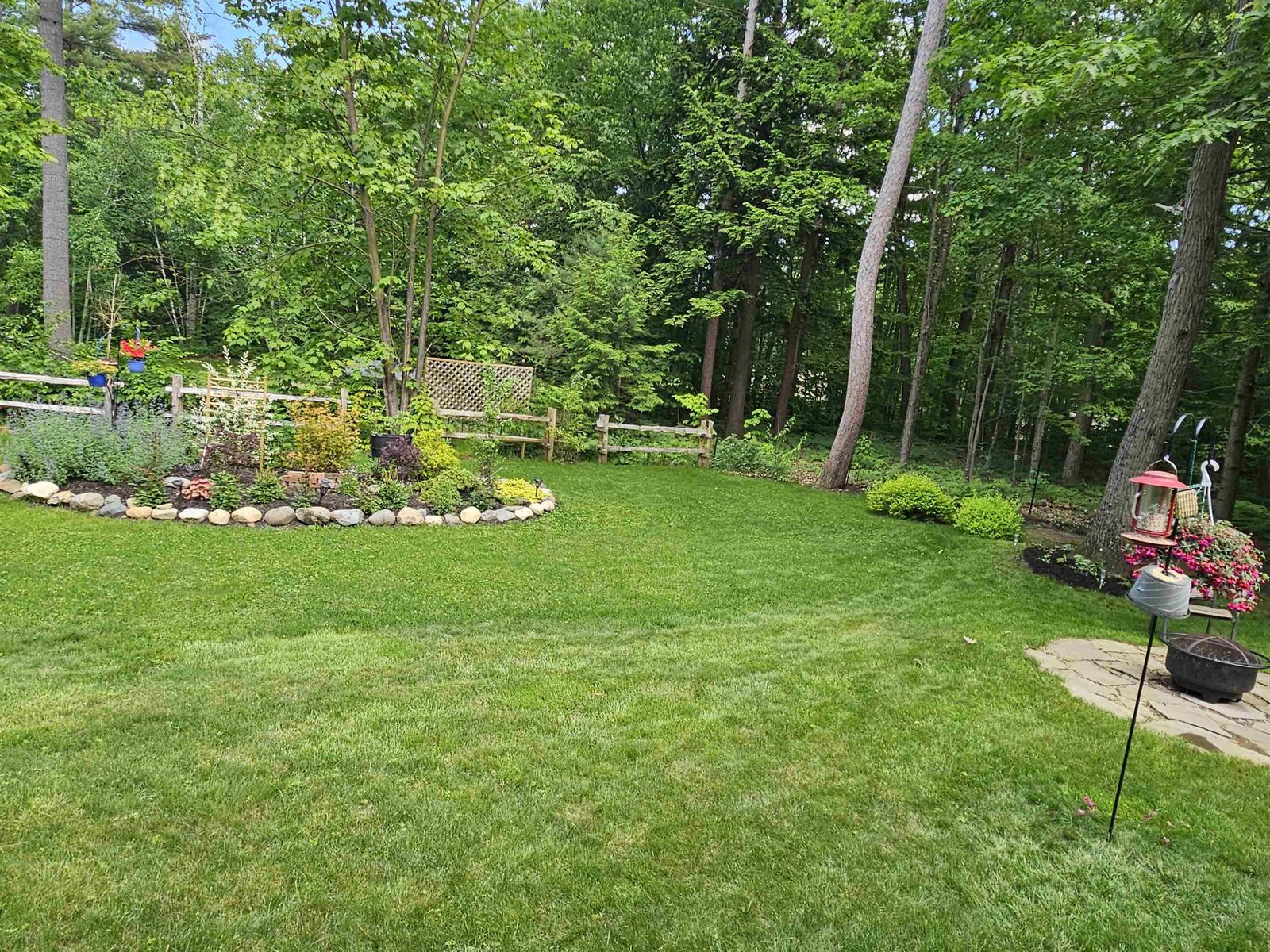 Back yard