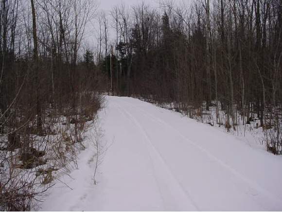 72 Martell Rd