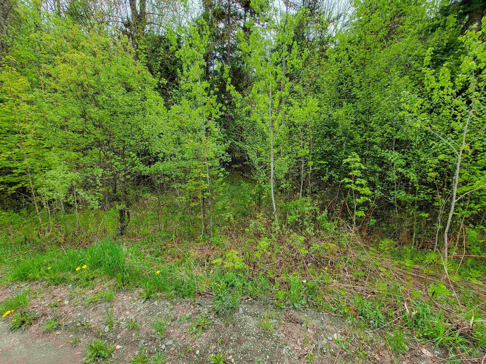 720 Brookview Lane
