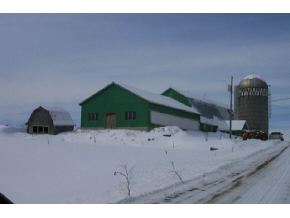 726 Skunk Hollow Rd