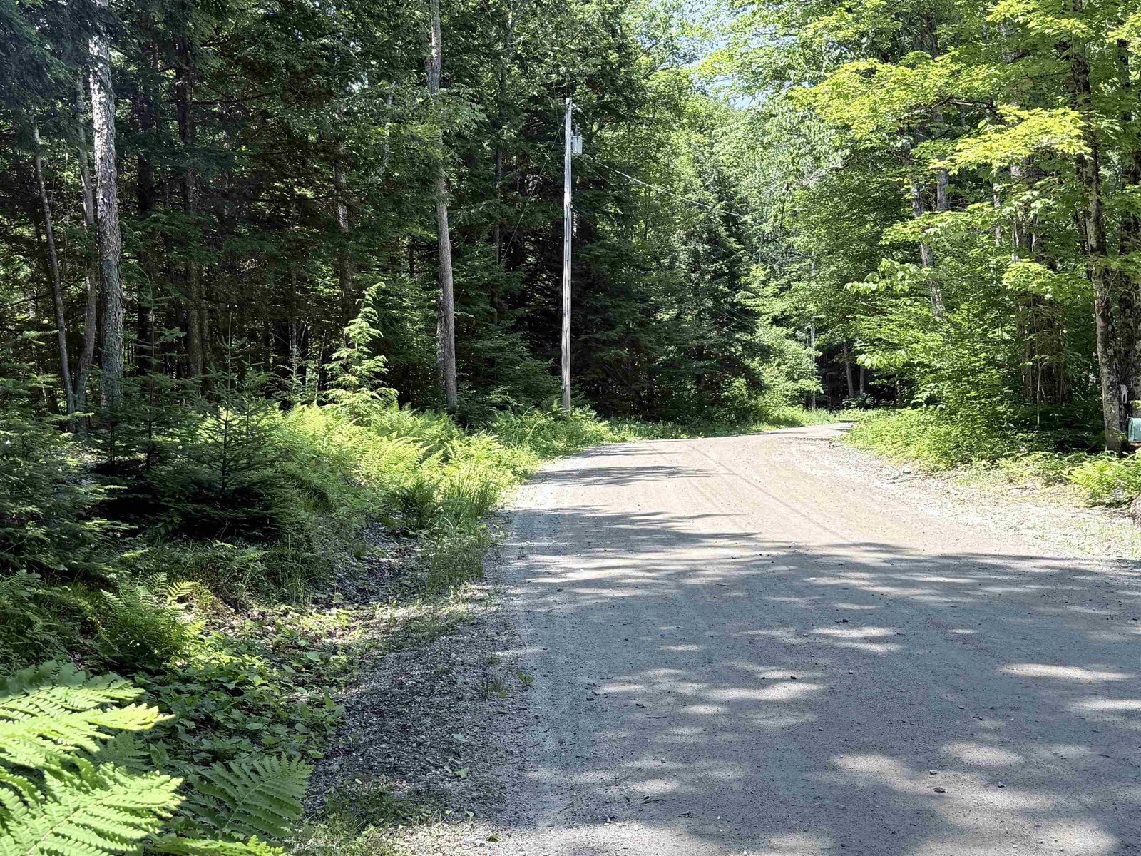 Looking up the road