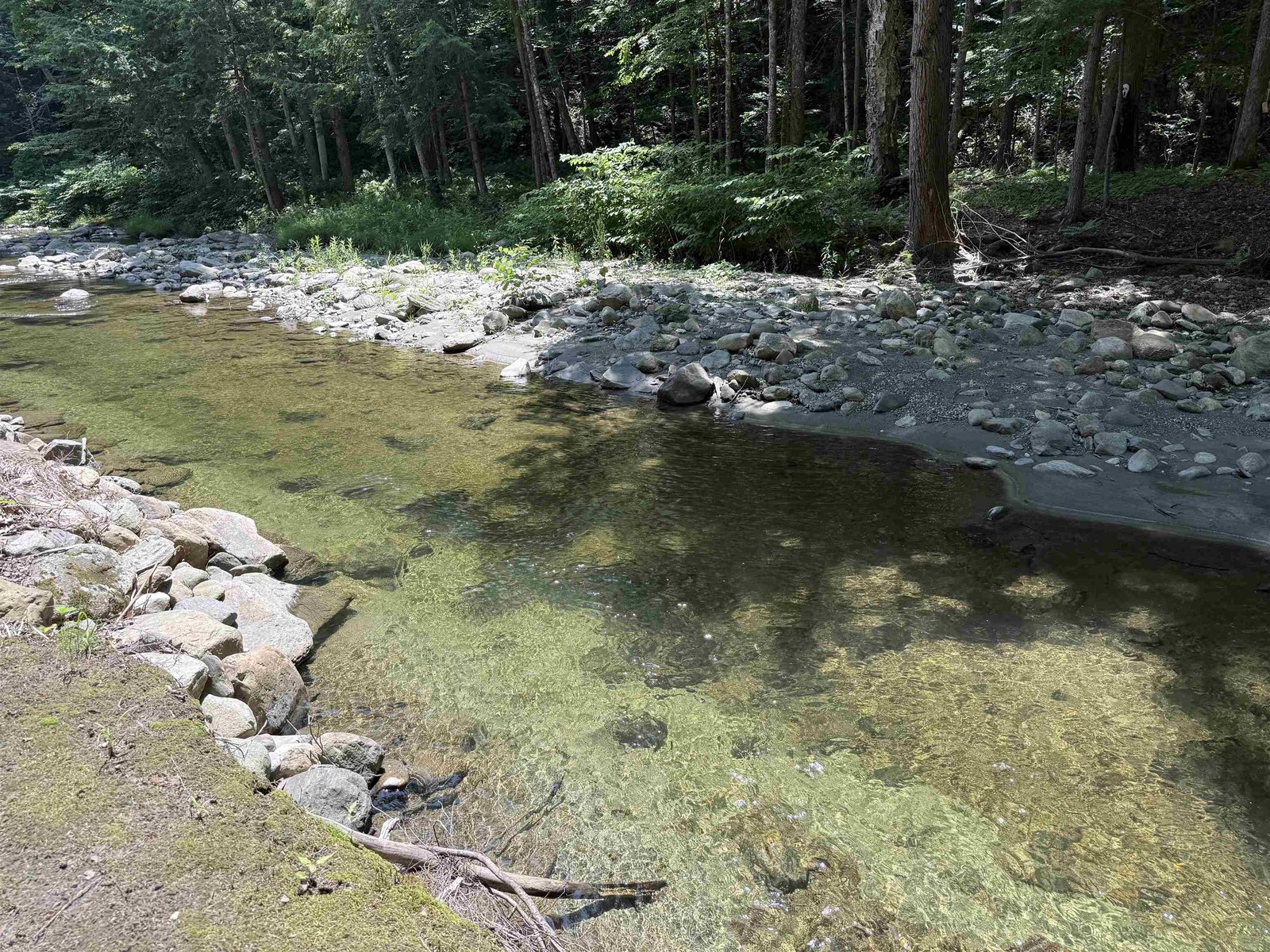 Your very own swimming hole