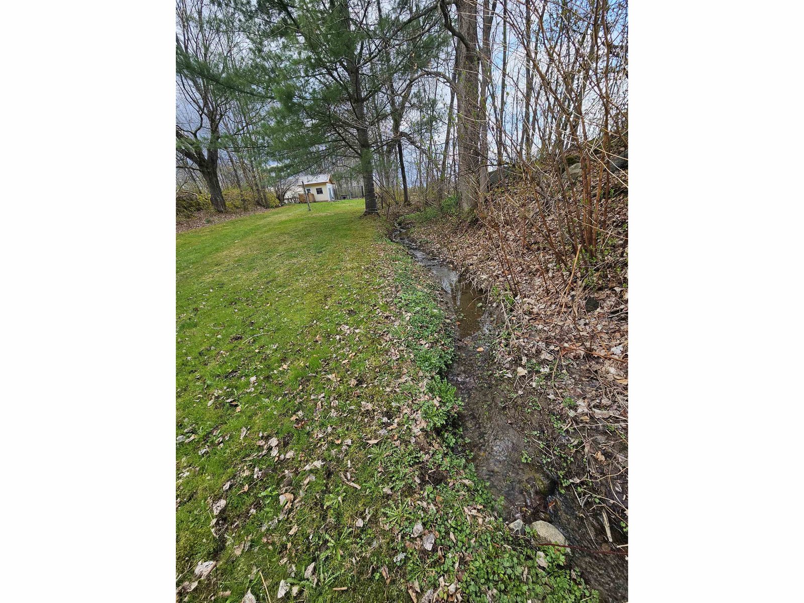 Stream