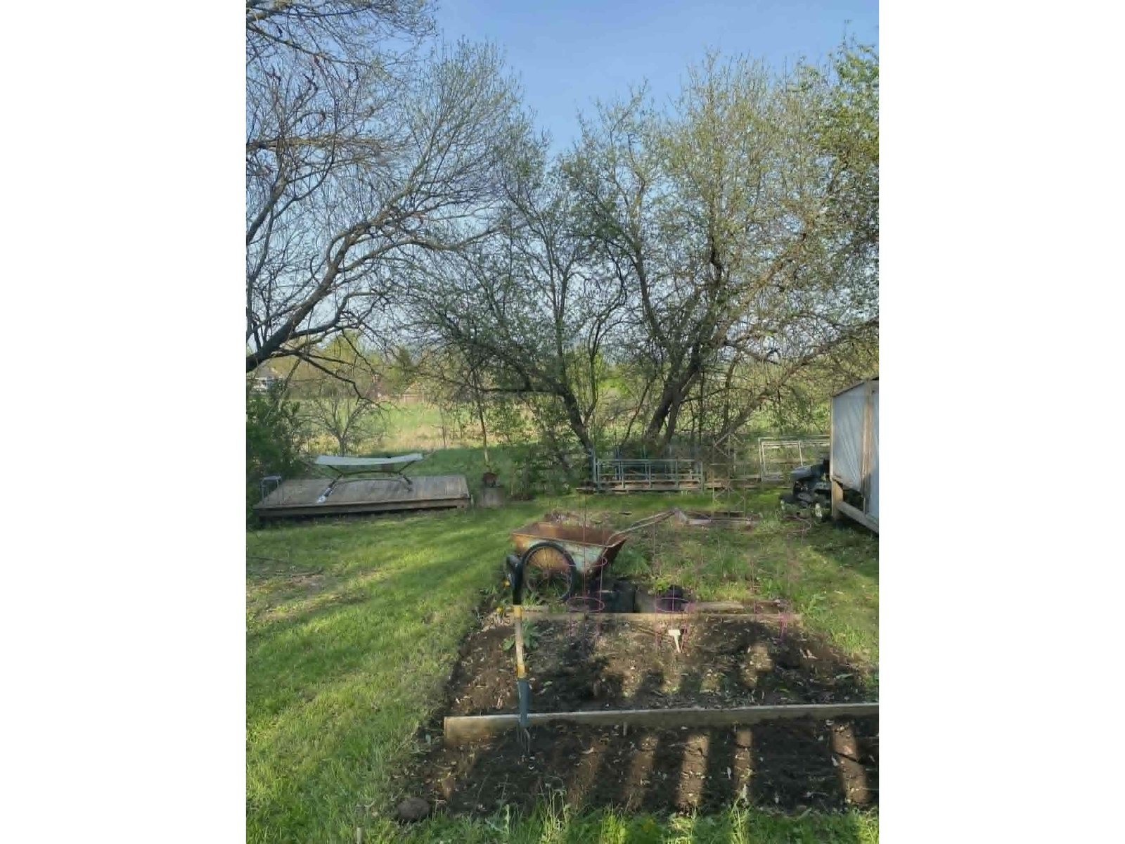 Garden/Hammock area