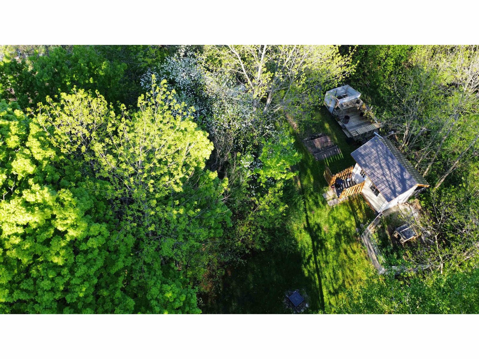 Shed/garden space