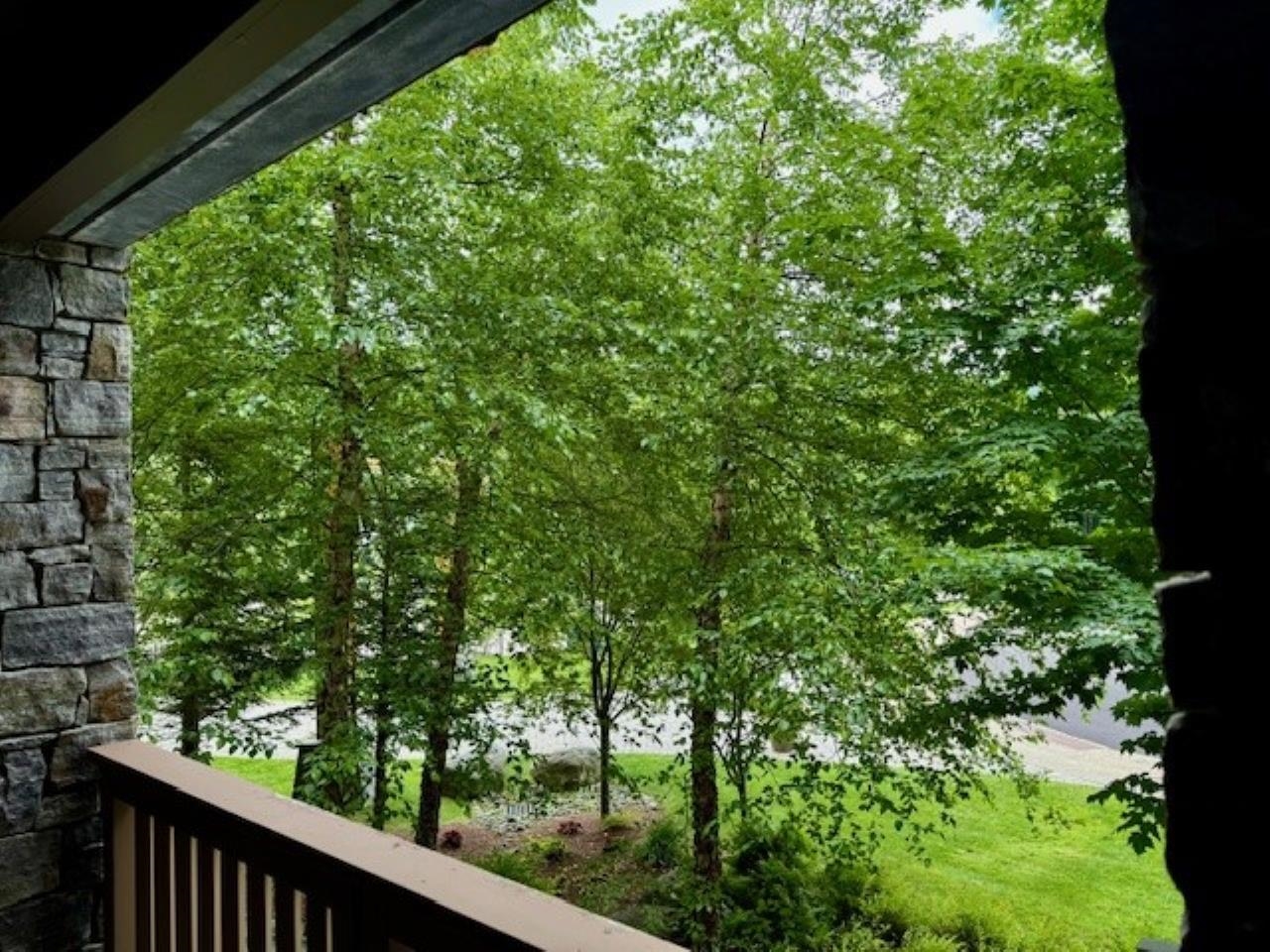 Summer View