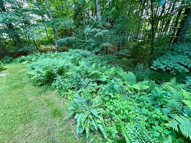 75 Ledgewood Drive