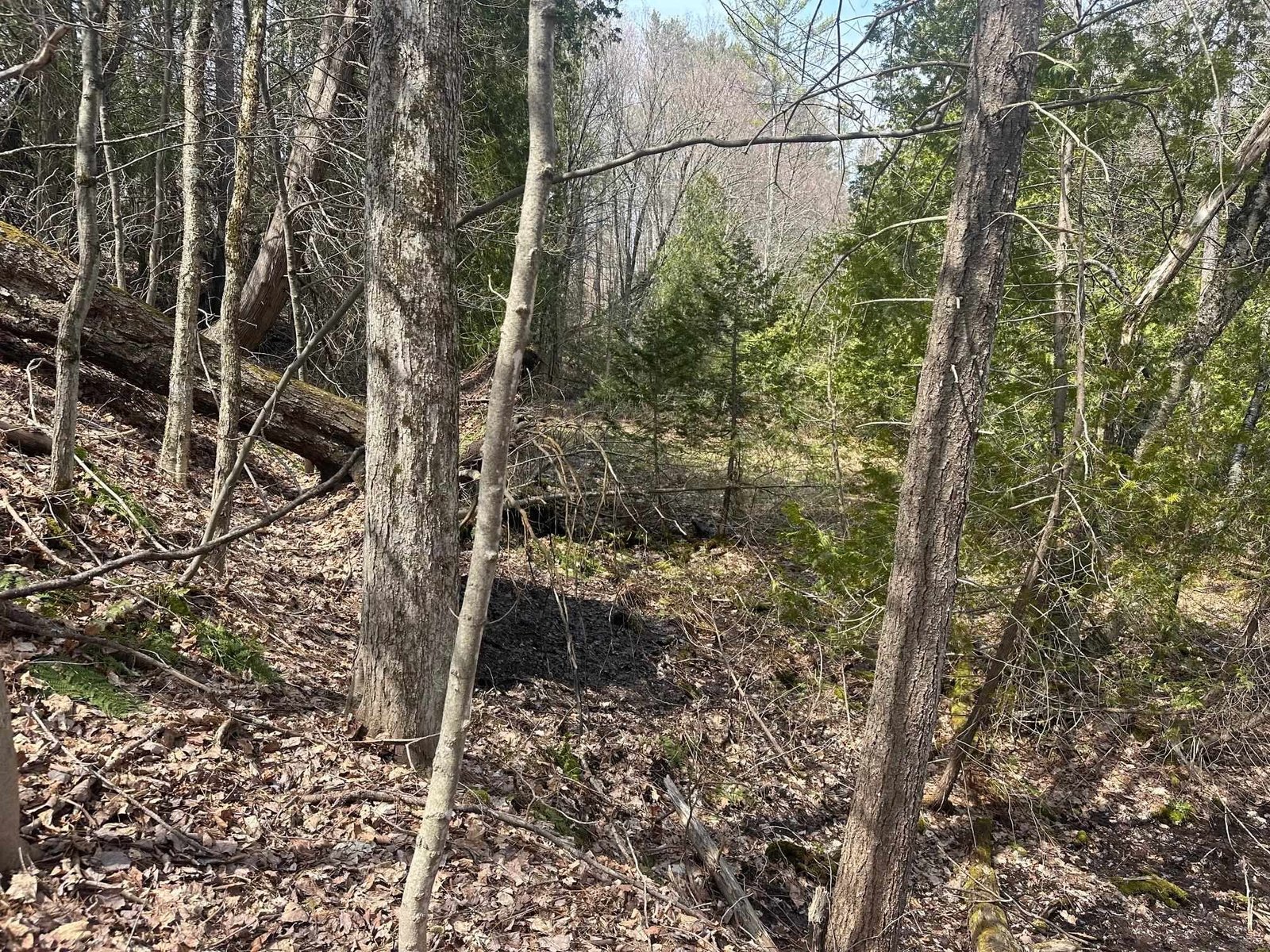 75 Plains Road