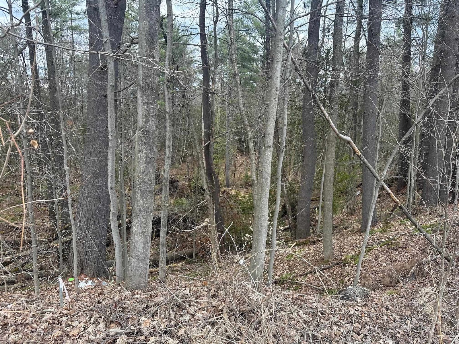 75 Plains Road
