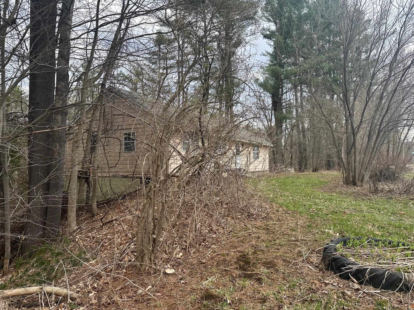 75 Plains Road
