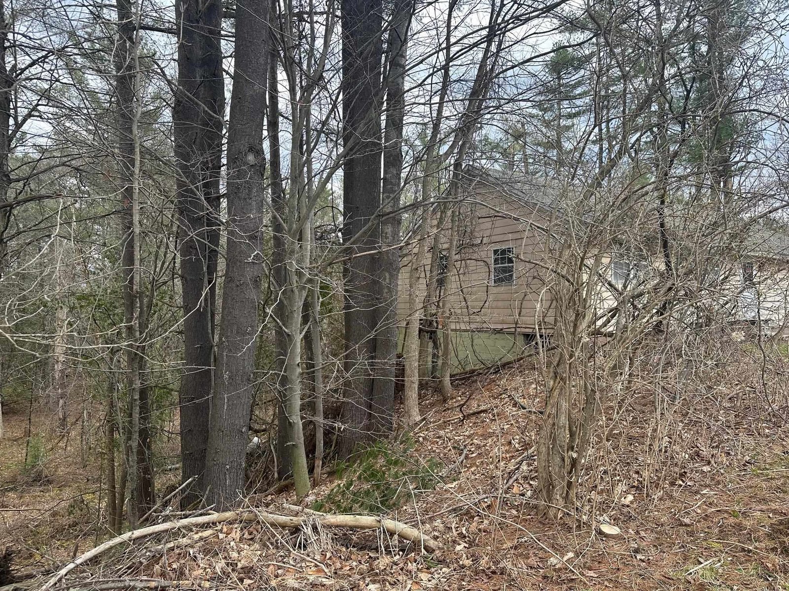 75 Plains Road