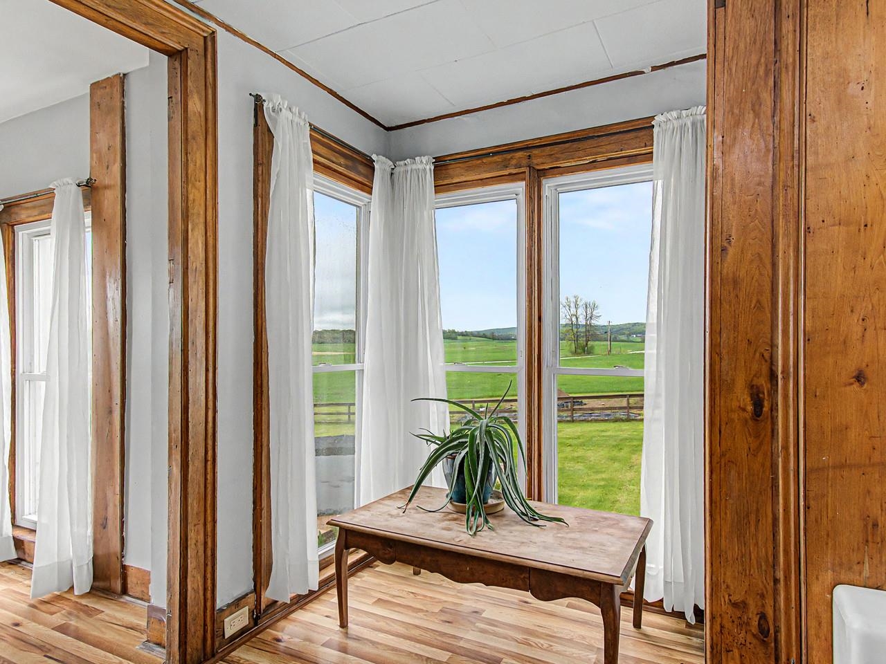 Tall Windows - Lots of Light!