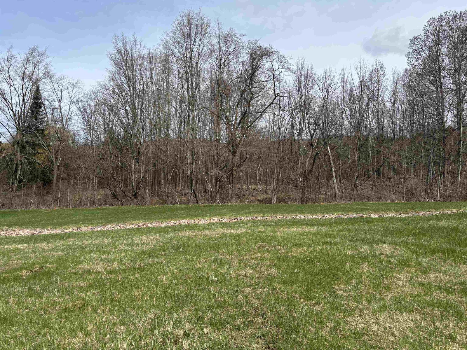 Expansive yard backs up to woodline and brook