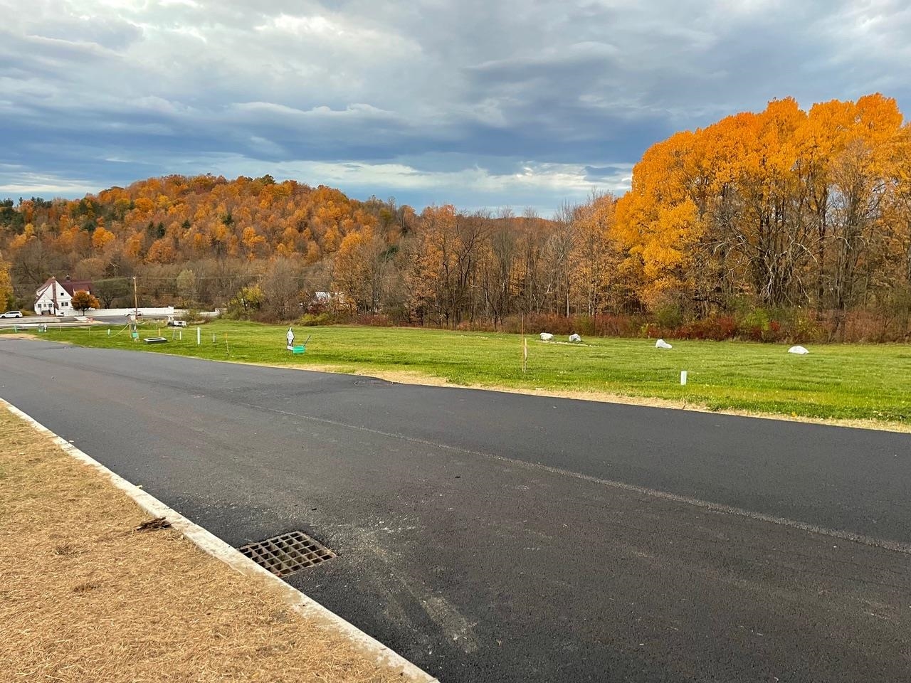 Fall Colors!
