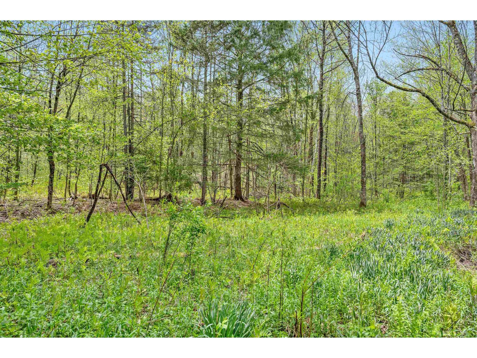 753 Scrabble Hill Road
