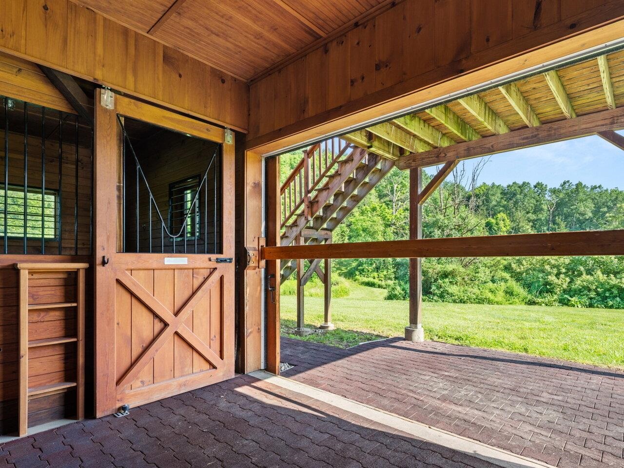 Horses Can Live in Luxury!