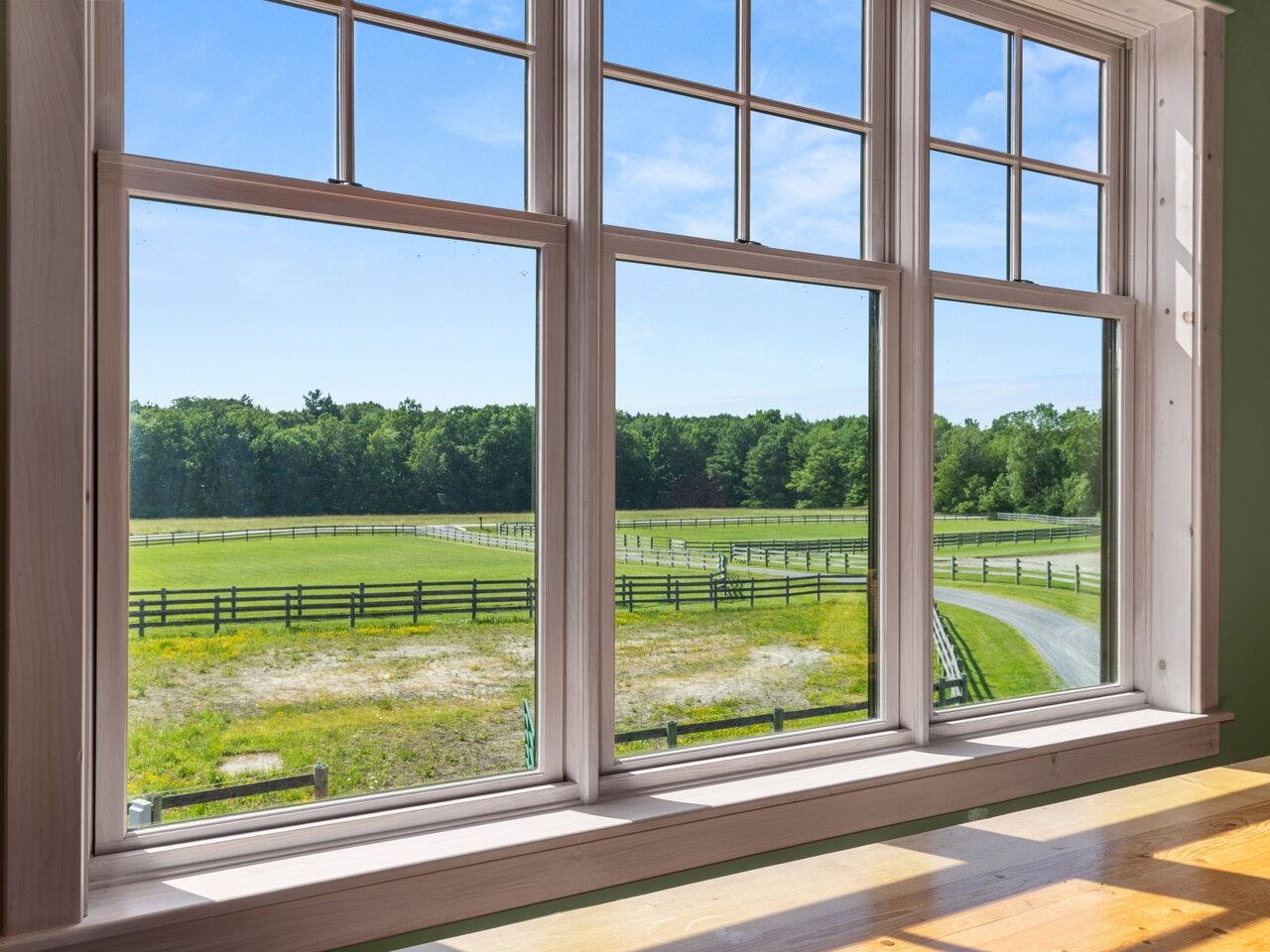 Oversized Windows with Views